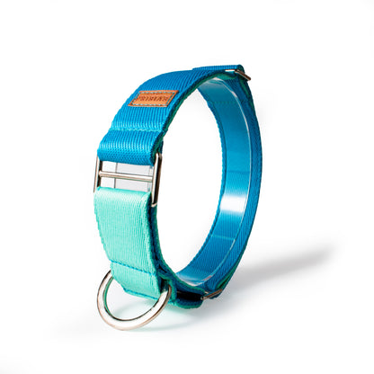 Collar martingale Aqua