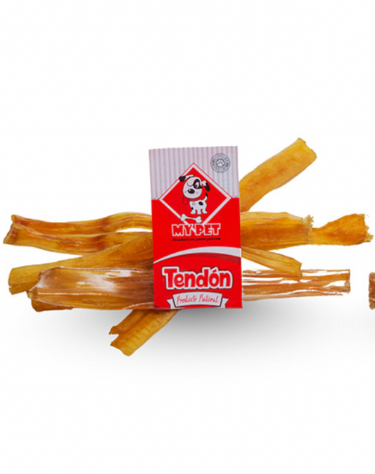 TENDON (UNIDAD)