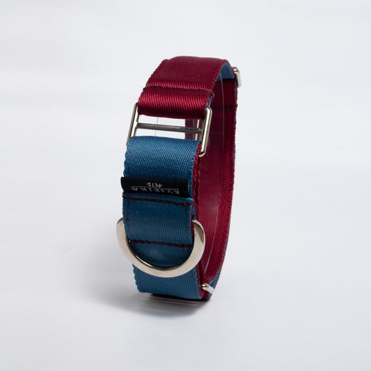 Collar martingale Blueberry gross (4 cm)