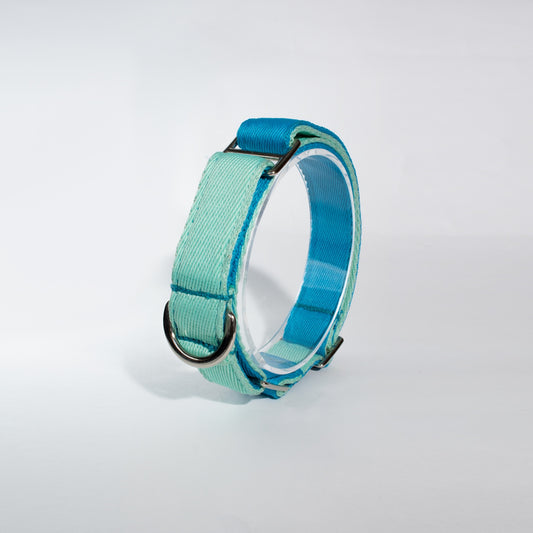 Collar martingale Aqua slim (2.5 cm)