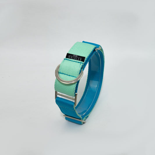 Collar martingale Aqua gross (4 cm)