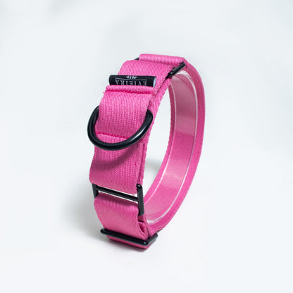 Collar martingale Fucsia gross (4 cm)