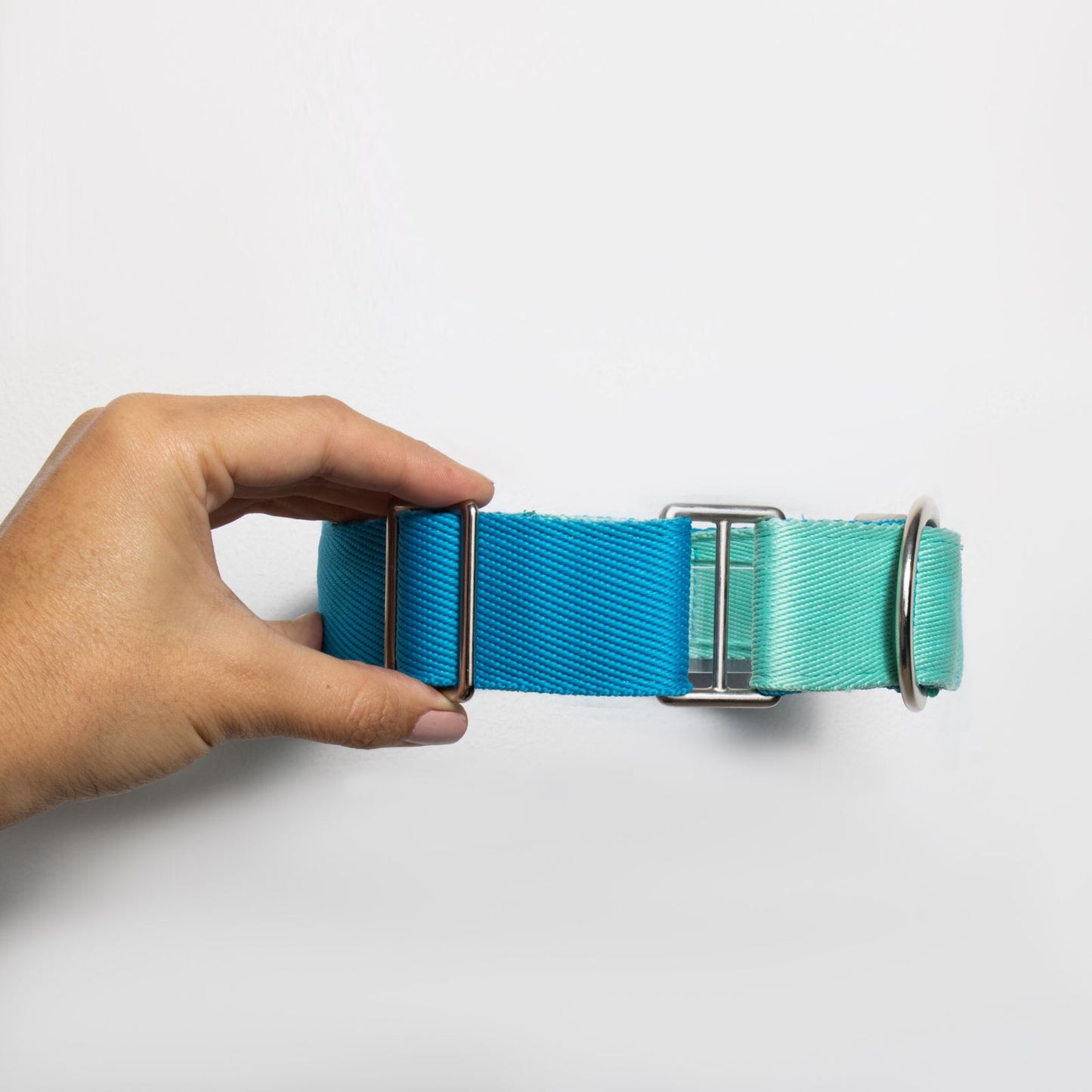 Collar martingale Aqua