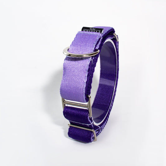 Collar Martingale Grape slim (2.5 cm)